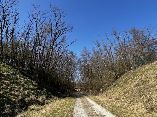 Der Weg zum Fort Part 2