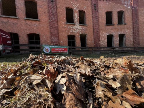 CITO - Fort Hahneberg 2026