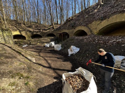 Schritt 2: Laub in den Sack und jedes Blatt findet seinen Platz