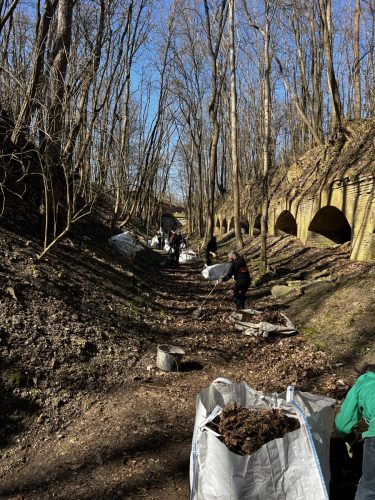 Noch bleibt viel zu tun