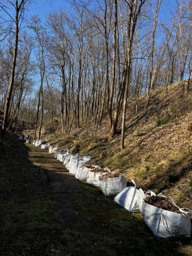 Ihr könnt euch gar nicht vorstellen, wie viele Säcke