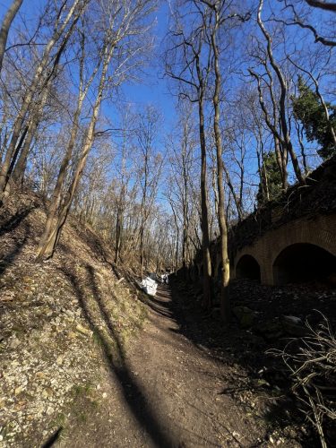 Man findet auch den Wegen kaum mehr ein Blatt