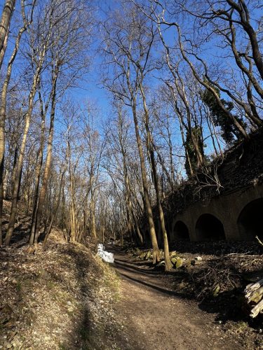 Noch mehr Eindrücke vom gereinigten Weg