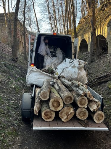 Das sind aber ganz schön komische Blätter